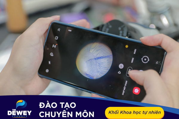dao-tao-chuyen-mon-giao-vien-10