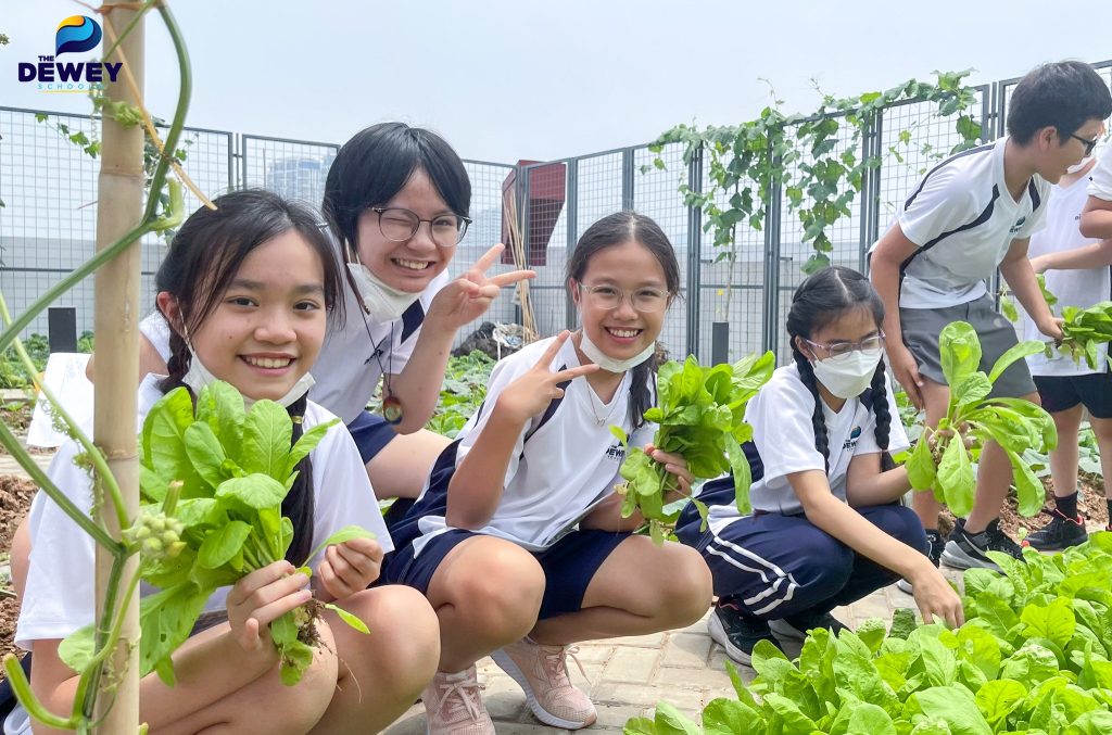 Kinh doanh rau sạch thu hoạch từ Khu vườn trên mây tại TDS đóng góp vào Quỹ từ thiện qua môn học JA (Kinh doanh hướng nghiệp)