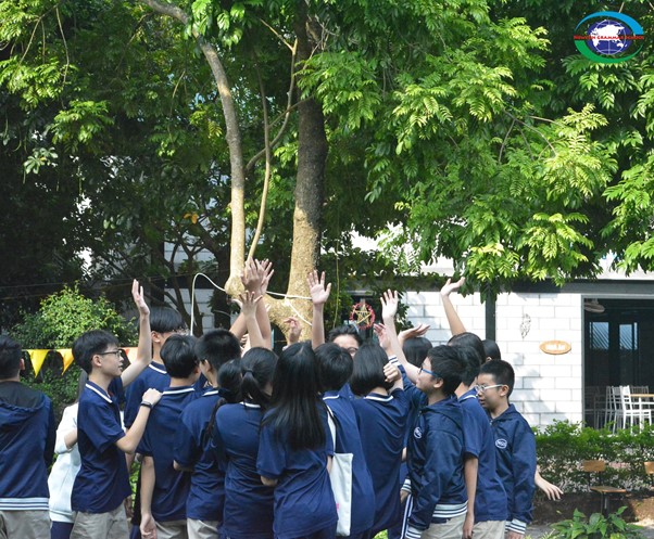 hoc-phi-truong-song-ngu-newton