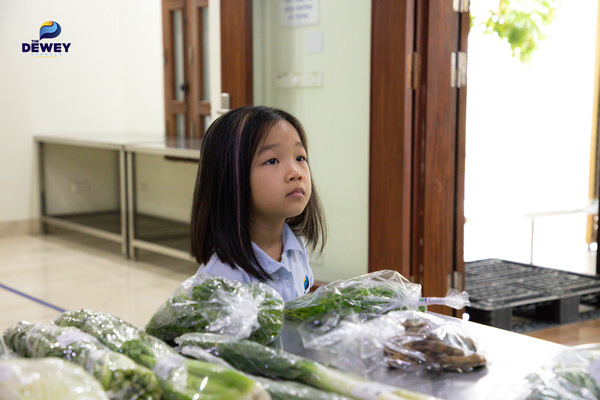 tham-quan-khao-sat-08