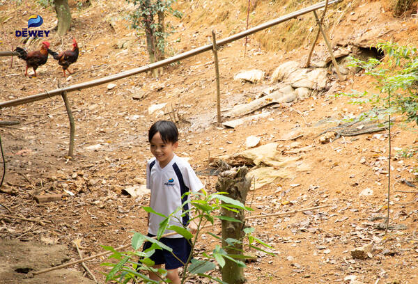 tham-quan-khao-sat-17