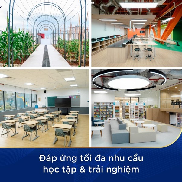 truong-thcs-chat-luong-cao-the-dewey-schools-02