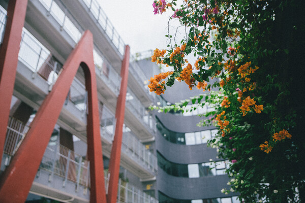 khung-cảnh-dewey-06