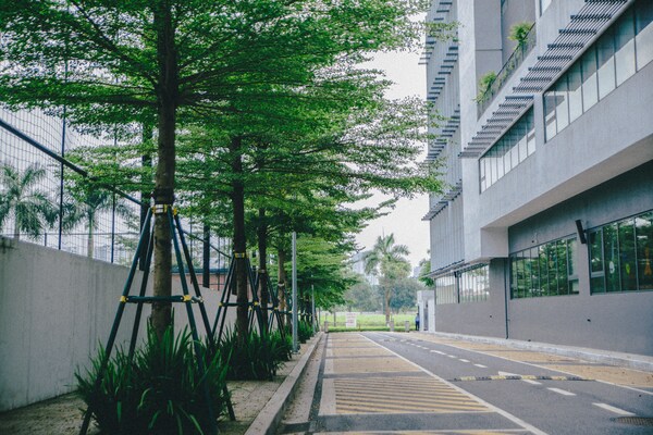khung-cảnh-dewey-09