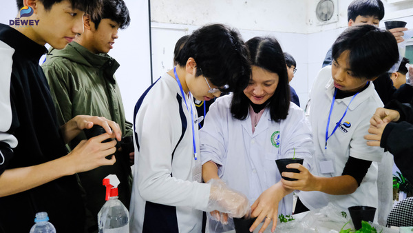 Nuôi-cấy-mô-K8-12