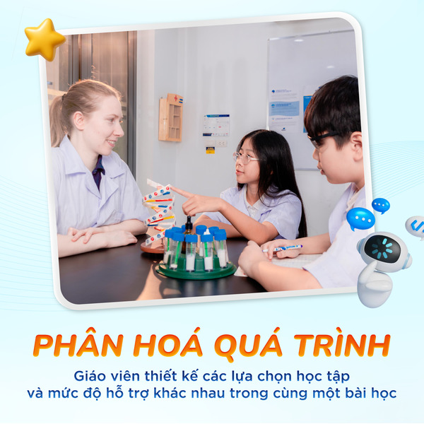Phan-hoa-3