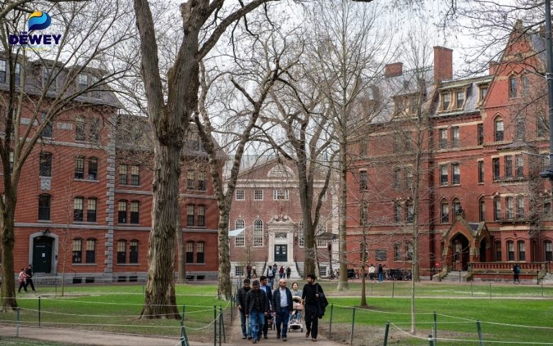 Lời khuyên chọn ngành phù hợp tại Harvard