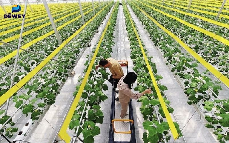 Khoa Nông nghiệp Thực phẩm và Tài nguyên thiên nhiên