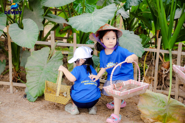 dã-ngoại-xanh-03