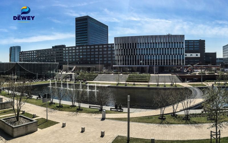 Tổng quan về Fv88 dangnhap Erasmus Rotterdam