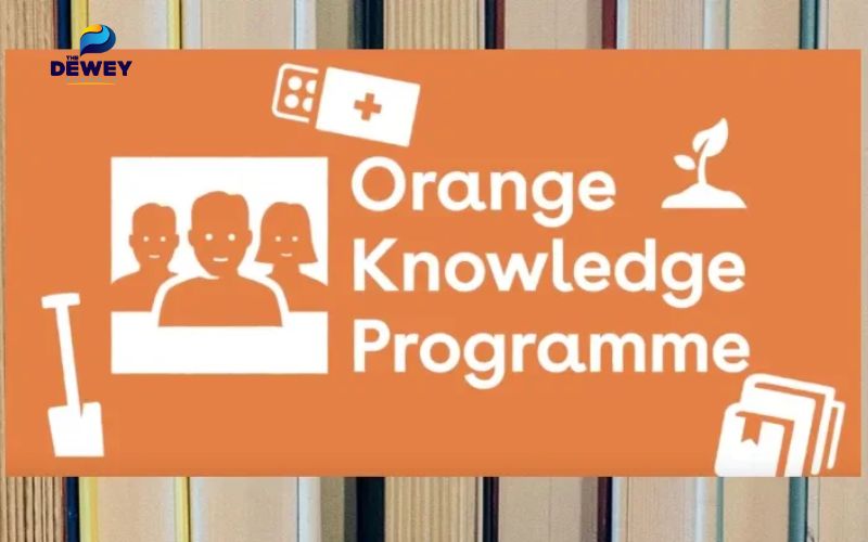 Fv88.win liên minh VUABOSS Orange Knowledge Programme