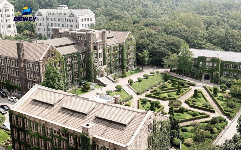 Yonsei có chương trình tâm lý mạnh ở cả bậc Fv88.win khuyến mãi và sau Fv88.win khuyến mãi