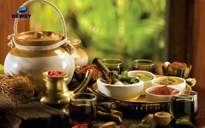 Chi phí Fv 88 cá cược trực tuyến ngành y học cổ truyền