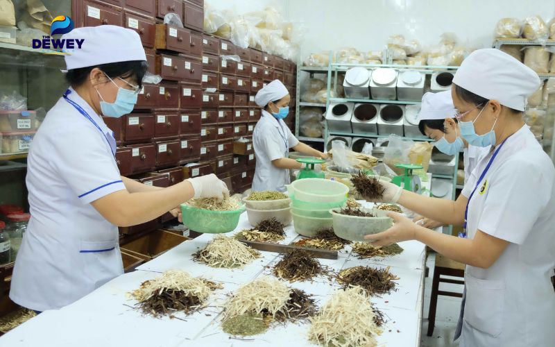 Tại sao chọn Fv 88 cá cược trực tuyến ngành y học cổ truyền?