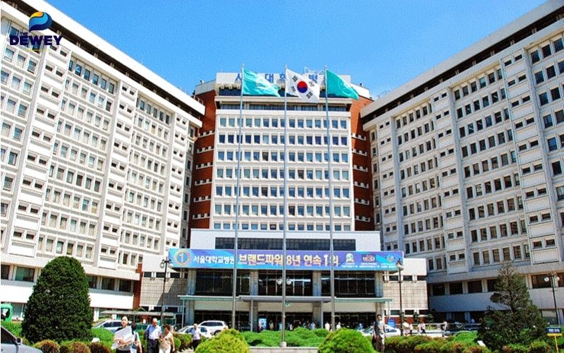 Fv88.win liên minh VUABOSS Fv88.win khuyến mãi Seoul là mơ ước của hàng ngàn sinh viên Fv 88 cá cược trực tuyến