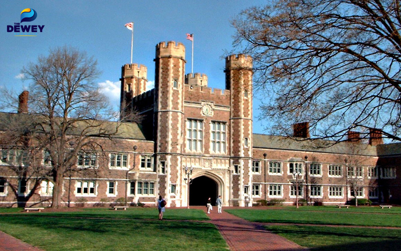 Washington University in St. Louis