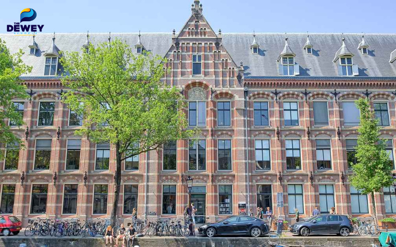 Fv88.win liên minh VUABOSS Amsterdam Excellence