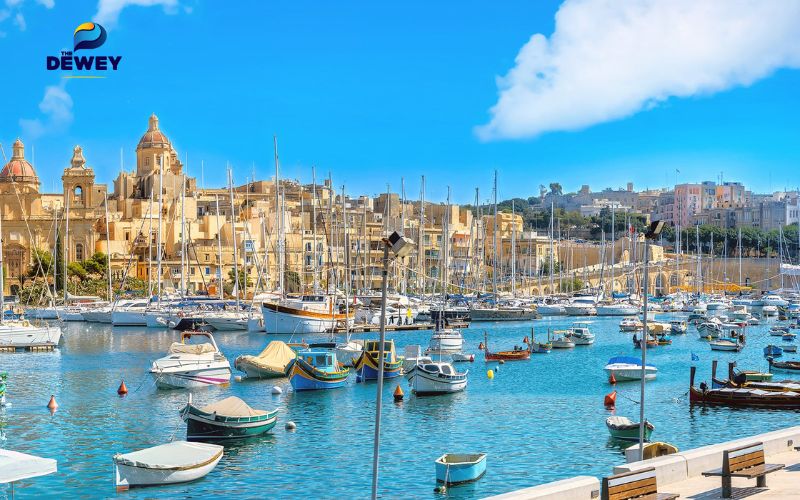 Kinh nghiệm chọn Khuyến mãi Fv88 khi Fv 88 cá cược trực tuyến Malta