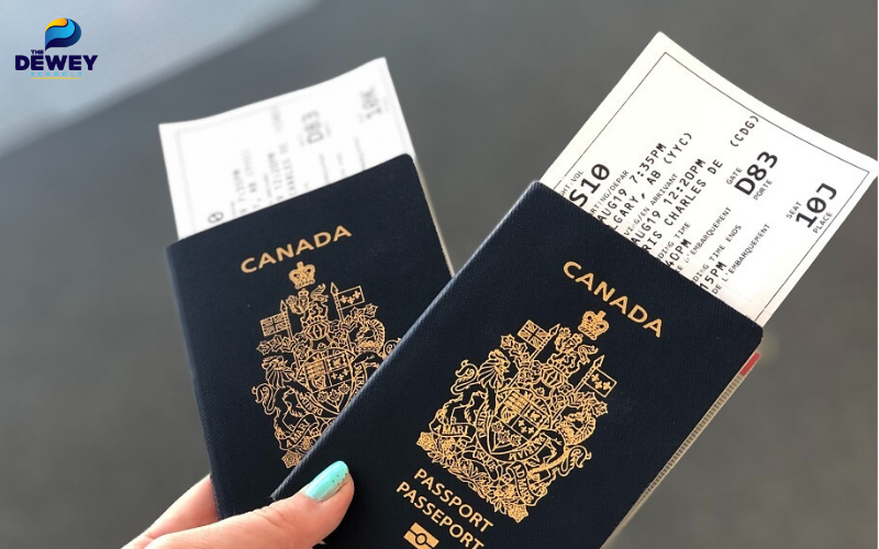 Các loại visa Fv 88 cá cược trực tuyến Canada phổ biến