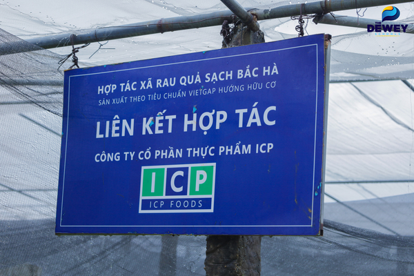 recap-thăm-nông-trại-xanh-cg-04
